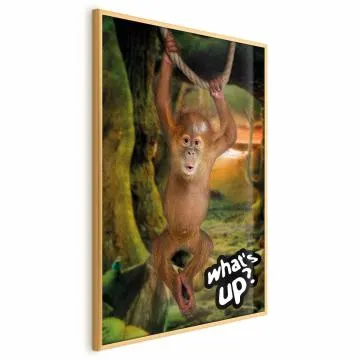 Plakat What's Up 60x90 cm z ramą złotą bez marginesu
