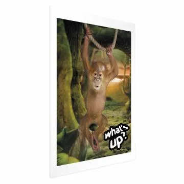 Plakat What's Up 21x30 cm bez ramy z marginesem