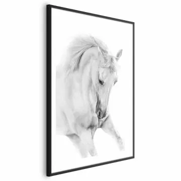 Plakat Biały koń 40x60 cm z ramą czarną z marginesem