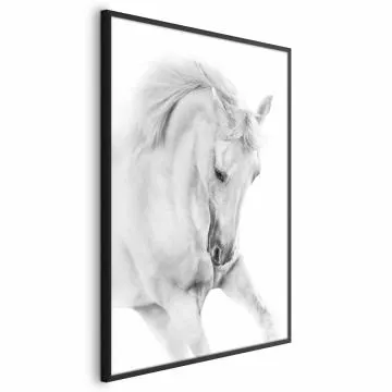 Plakat Biały koń 40x60 cm z ramą czarną bez marginesu