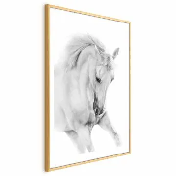 Plakat Biały koń 40x60 cm z ramą złotą z marginesem