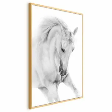Plakat Biały koń 40x60 cm z ramą złotą bez marginesu