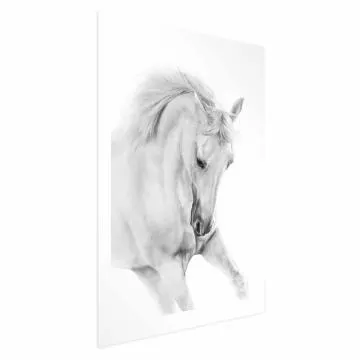 Plakat Biały koń 40x60 cm bez ramy z marginesem