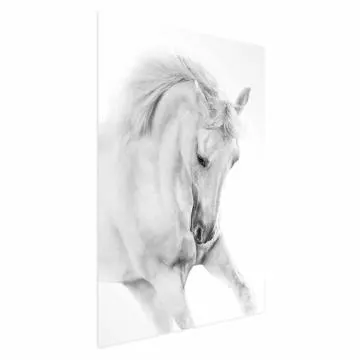 Plakat Biały koń 40x60 cm bez ramy bez marginesu