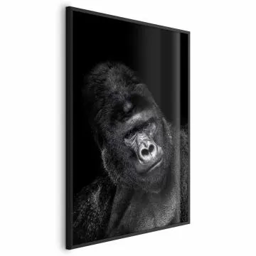 Plakat Goryl 21x30 cm z ramą czarną bez marginesu