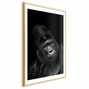 Plakat Goryl 21x30 cm z ramą złotą z marginesem
