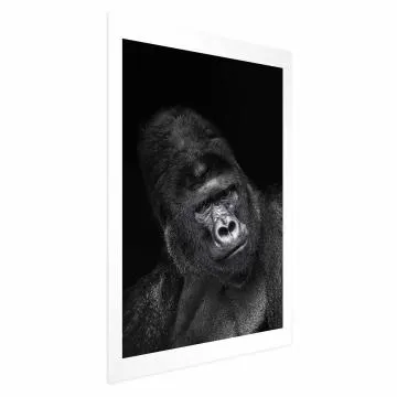 Plakat Goryl 40x60 cm bez ramy z marginesem