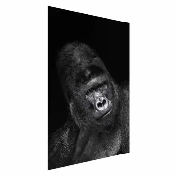 Plakat Goryl 21x30 cm bez ramy bez marginesu