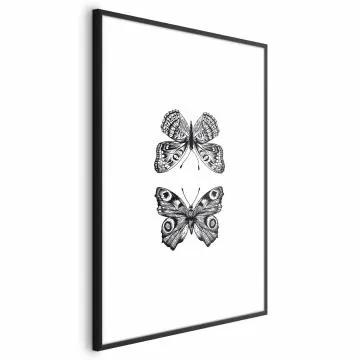 Plakat Dwa motyle 40x60 cm z ramą czarną z marginesem