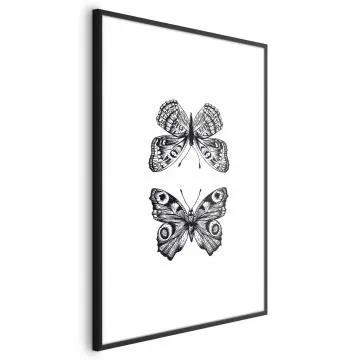 Plakat Dwa motyle 40x60 cm z ramą czarną bez marginesu