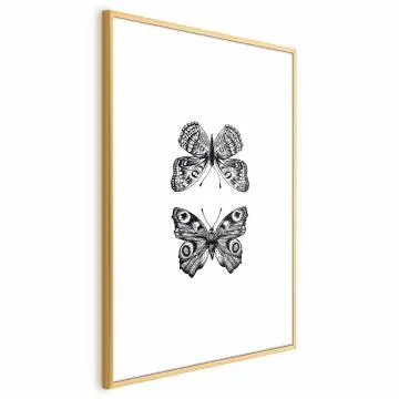 Plakat Dwa motyle 40x60 cm z ramą złotą z marginesem