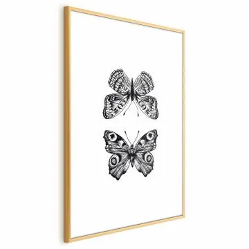 Plakat Dwa motyle 40x60 cm z ramą złotą bez marginesu
