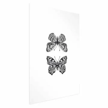 Plakat Dwa motyle 40x60 cm bez ramy z marginesem