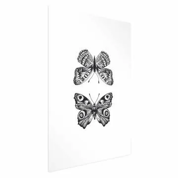 Plakat Dwa motyle 40x60 cm bez ramy bez marginesu