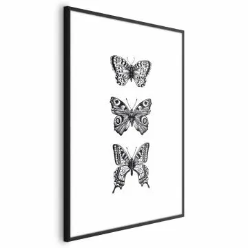 Plakat Trzy motyle 29,7x42 cm z ramą czarną z marginesem