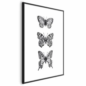 Plakat Trzy motyle 29,7x42 cm z ramą czarną bez marginesu