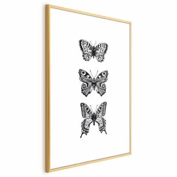 Plakat Trzy motyle 29,7x42 cm z ramą złotą z marginesem