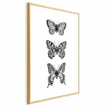 Plakat Trzy motyle 60x90 cm z ramą złotą bez marginesu