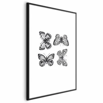 Plakat Cztery motyle 40x60 cm z ramą czarną z marginesem