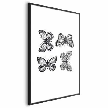 Plakat Cztery motyle 40x60 cm z ramą czarną bez marginesu