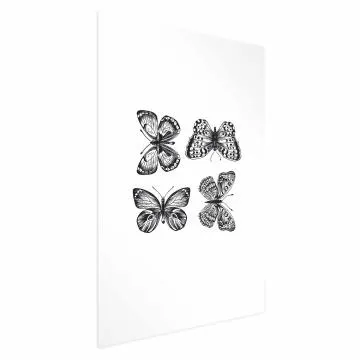 Plakat Cztery motyle 60x90 cm bez ramy z marginesem