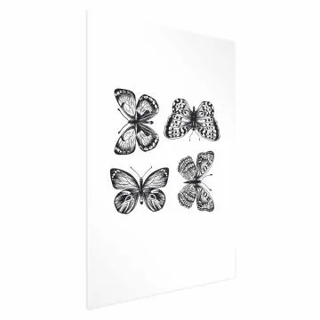 Plakat Cztery motyle 29,7x42 cm bez ramy bez marginesu