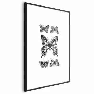 Plakat Pięć motyli 21x30 cm z ramą czarną z marginesem