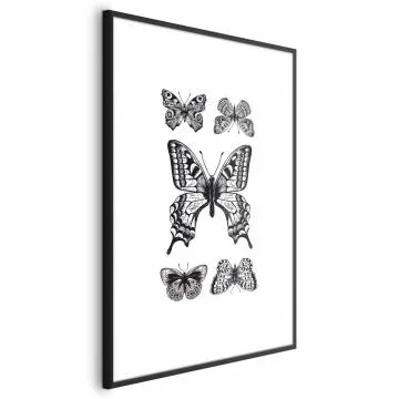 Plakat Pięć motyli 40x60 cm z ramą czarną bez marginesu