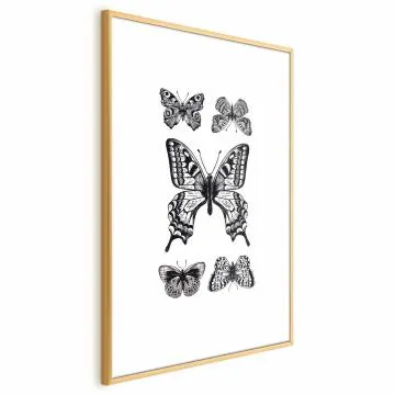Plakat Pięć motyli 40x60 cm z ramą złotą bez marginesu