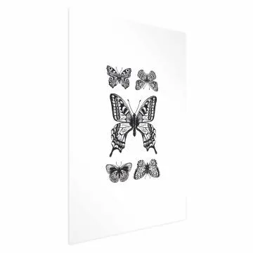 Plakat Pięć motyli 40x60 cm bez ramy z marginesem