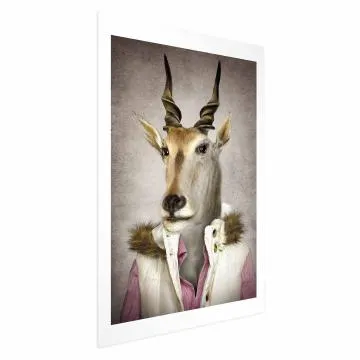 Plakat Antylopa 60x90cm bez ramy z marginesem