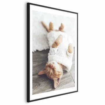 Plakat Leniwy kot 29,7x42 cm z ramą czarną z marginesem