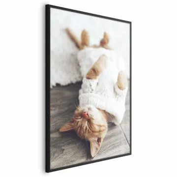 Plakat Leniwy kot 21x30 cm z ramą czarną bez marginesu