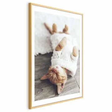 Plakat Leniwy kot 21x30 cm z ramą złotą z marginesem
