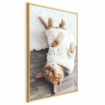 Plakat Leniwy kot 40x60 cm z ramą złotą bez marginesu