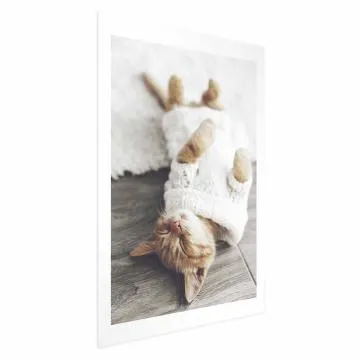 Plakat Leniwy kot 21x30 cm bez ramy z marginesem