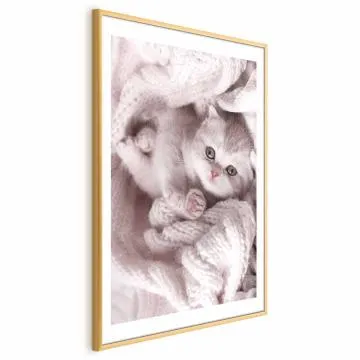 Plakat Miłośnik wypoczynku 60x90 cm z ramą złotą z marginesem
