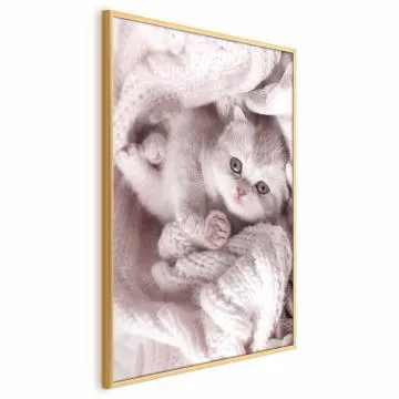 Plakat Miłośnik wypoczynku 60x90 cm z ramą złotą bez marginesu