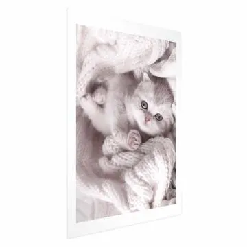 Plakat Miłośnik wypoczynku 60x90 cm bez ramy z marginesem