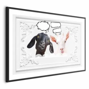 Plakat Śmieszne kozy 30x21 cm z ramą czarną bez marginesu