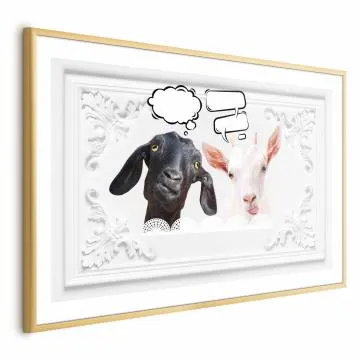 Plakat Śmieszne kozy 60x40 cm z ramą złotą bez marginesu