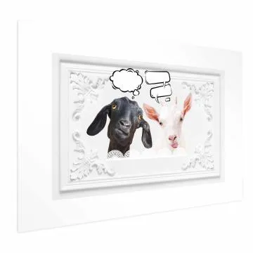 Plakat Śmieszne kozy 42x29,7 cm bez ramy z marginesem