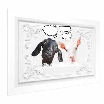 Plakat Śmieszne kozy 60x40 cm bez ramy bez marginesu