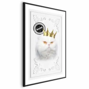 Plakat Król kot 40x60 cm z ramą czarną bez marginesu