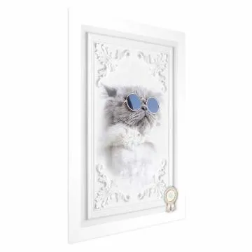 Plakat Kot w okularach 40x60 cm bez ramy bez marginesu