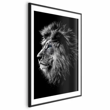 Plakat Niebieskooki lew 60x90 cm z ramą czarną z marginesem