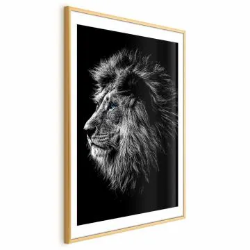 Plakat Niebieskooki lew 21x30 cm z ramą złotą z marginesem