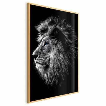 Plakat Niebieskooki lew 29,7x42 cm z ramą złotą bez marginesu