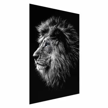 Plakat Niebieskooki lew 21x30 cm bez ramy bez marginesu