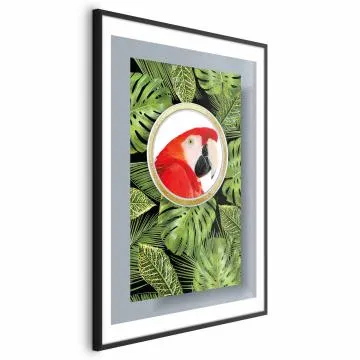 Plakat Papuga w dżungli 29,7x42 cm z ramą czarną z marginesem